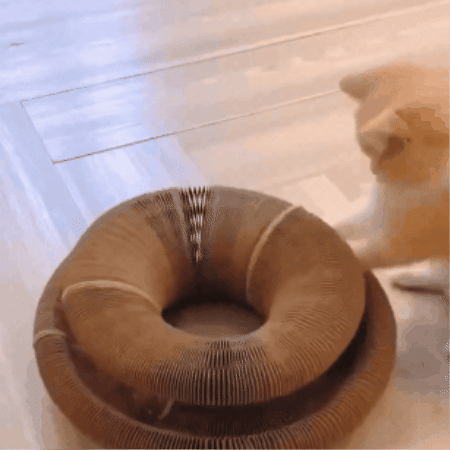 Whisker Wheel