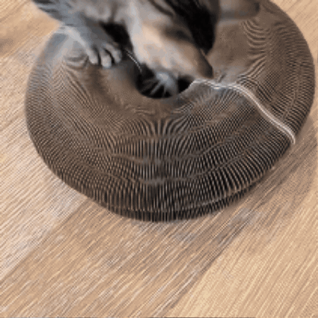 Whisker Wheel
