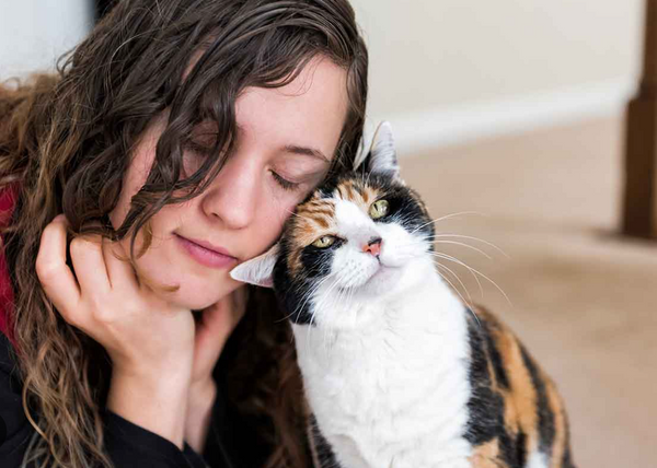 KittyLicks