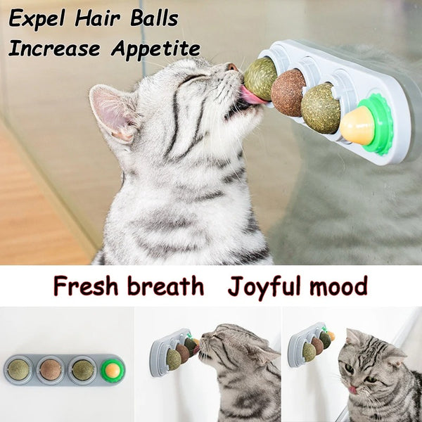 KittyLicks